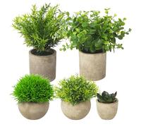 BUCOMTU 5 Pieces Plantes Artificielle, Mini Plantes artificielles Interieur Serpentine, Agave succulentes, Griffe d'aigle Aloe Vera, pour Chambre Bureau Decoration (Brun)