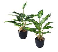 BUCOMTU Lot de 2 Plantes Artificielle, 37 cm Plantes Artificielles Interieur, Plantes décoratives idéales pour la Cuisine, Le Bureau, Le Salon et la Salle de Bain (Vertes)