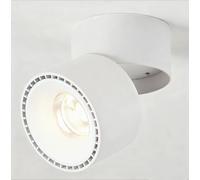 Budbuddy 12W LED Plafonnier Apparent Orientables Spots de Plafond Pivotants Luminaire de Spot Blanc Spots Muraux Intérieur Moderne pour Couloir Salon Bureau Boutique et Plus 3000K