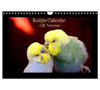 Budgie Calendar - UK Version (Wall Calendar 2027 DIN A4 landscape), CALVENDO 12 Month Wall Calendar: CALVENDO presents nature photographer Björn ... calendar - already the No. 1 in Germany.