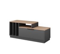 Vicco Buffet Bas Betti, Anthracite/Sonoma, 120x49.9cm avec 1 Porte, Convient aux téléviseurs jusqu'à 55 Pouces et aux Accessoires multimédias