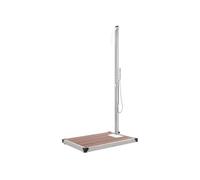 vidaXL Douche de jardin avec plaque de sol brune 225 cm acier inoxydable