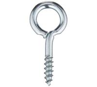 Bulk Hardware BH00102 Paquet de 30 Vis à œil en Acier plaqué au Zinc de 25 mm