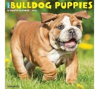 Bulldog Puppies 2026 12 X 12 Wall Calendar - Willow Creek Press - Willow Creek Press Calendars - Livre en Anglais - Calendar Willow Creek PressWillow Creek Press (Auteur)