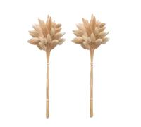 Bunny Tails Grass Natural Sèche Bouquet Pampas Plante Vase Decoration 50pcs