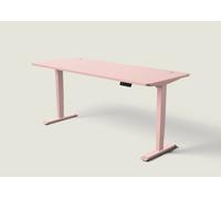 Bureau assis debout HomePro - Rose poudré / Rose poudré / 200x80 cm