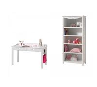 Bureau Et Bibliotheque Amori