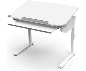 Bureau pour enfants Vicco Arc Blanc 108x68cm réglable en hauteur, Model 49357