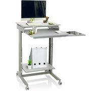 Bureau / Table pour ordinateur WORKSTATION Argent hjh OFFICE Gris G