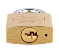 Burg-Wächter BURG-Wächter Serrure cylindrique de précision 30 mm à clés différentes Quantité:1
