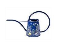 Burgon & Ball RHS British Meadow Arrosoir d'intérieur Bleu Taille M