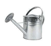 BURI Arrosoir 5 l argenté avec douchette en métal | Arrosoir pour fleurs, arrosoir de jardin, arrosoir pour plantes, modèle 2025