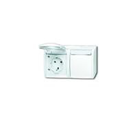 Busch-Jaeger 20/2 EWN-54 SCHUKO® Prise Double (thermoplastique) Blanc Alpin océan® (IP 44) 2CKA002084A0715