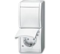 Busch Jaeger 2601/6/20 EBW-54 Steckdose Typ F Weiß (1684-0-0331)