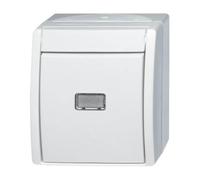 Busch-Jaeger 2601/6 WGL-54 Commutateur Lumineux 250 V