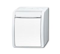 Busch-Jaeger basculer, Bouton + interrupteur, Blanc