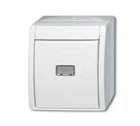Busch-Jaeger basculer, Bouton + interrupteur, Blanc