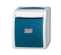 Busch-Jaeger Bouton-poussoir, Bouton + interrupteur, Bleu, Gris, Vert