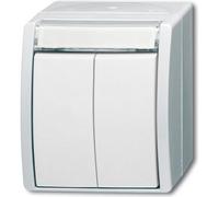 Busch-Jaeger Bouton-poussoir double, Bouton + interrupteur, Blanc