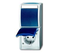 Busch-Jaeger Busch-Jaeger Combinaison prise + interrupteur 2601/6/20 EW-53 Quantité:1