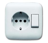 ABB Busch-Jaeger Combination Switch Socket Inbuilt White - 2CKA001611A0169