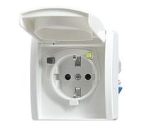 Busch-Jaeger Busch-Jaeger FI-SCHUKOMAT insert alpinblanc 3120 EUGB-44 Quantité:1