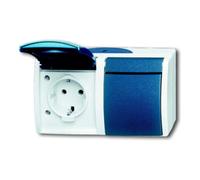 Busch-Jaeger Busch-Jaeger Prise grise/bleu-vert 20/2 EBW-53 Quantité:1