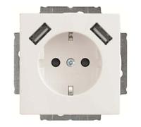 Busch-Jaeger SCHUKO-2x USB Prise 20 EUCB2USB-84 2CKA002011A6273