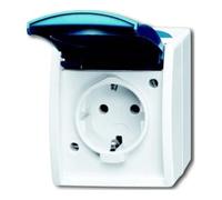 Busch-Jaeger Busch-Jaeger Prise Schuko gr/blgn AP avec couvercle rabattable 20 EW-53 Quantité:1