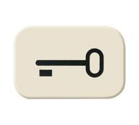 Busch-Jaeger Busch-Jaeger Symbole de bouton Clé 2525 TR Quantité:1