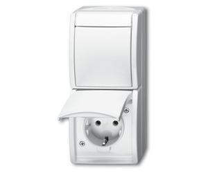 BUSCH-JAEGER Combinaison prise/commutation ocean inverseur AP aws IP44