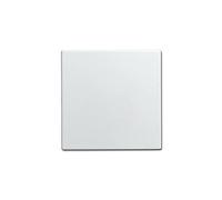 Busch-Jaeger Enjoliveur 1576 C de 914 blanc alpin Interrupteur Info Line Couverture/élément de commande pour installation Busch Programmes