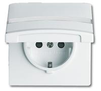 Busch-Jaeger Insert de prise de courant Schuko 20 EUGKBN-34-101 2CKA002064A0301