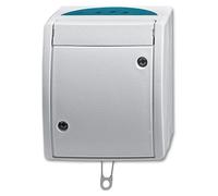 Busch-Jaeger Interrupteur à tirette 2610/6 W-53 2CKA001383A0141