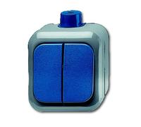 Busch-Jaeger Interrupteur de série, Bouton + interrupteur, Gris