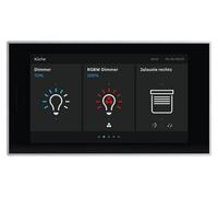 Busch-Jaeger RoomTouch RT/U30.0.11-825 2TMA200050B0008
