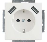 Busch-Jaeger SCHUKO-2x USB Prise 20 EUCB2USB-84 2CKA002011A6273