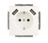 Busch-Jaeger SCHUKO-2x USB Steckdose 20 EUCB2USB-884 (2CKA002011A6277)