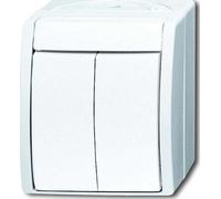 BUSCH-JAEGER Serienschalter aws mt ocean AP IP44 2f