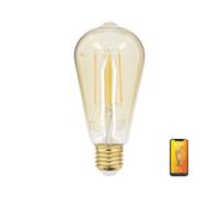 But ampoule LED décorative Edison E27
