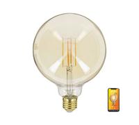 But ampoule LED globe décorative E27