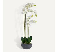 Atmosphera - Orchidée Artificielle - Pot céramique H115 cm