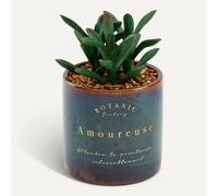 But Plante succulente artificielle - Vert