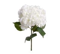 But Tige d'hortensia artificiel - Vert
