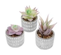 BUTIFULSIC Plantes Succulentes Imitées en Pot Céramique, Décor de Bureau et Maison, Ensemble de 3 Pièces Longue Durée pour Aménagement Intérieur