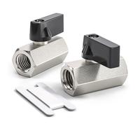 Bwintech 2 pièces 1/4 "BSP femelle x femelle nickelé laiton Mini robinet à boisseau sphérique