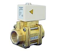 BWT Aquastop 11825 3/4", DN 20, avec capteur d'humidité