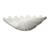 Byon Bol Shell 34x24 cm