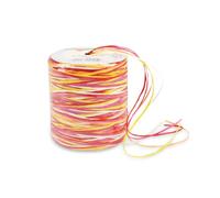C.E. Pattberg Raffia Rubans en Raphia de Viscose Multicolores, Bobine de 50 m de Cordons pour Emballage Cadeau, 5 Fils de Décoration et Bricolage, Ruban Décoratif pour Présents