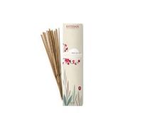 C000040406_esteban Encens bâtons naturels - Lot de 20